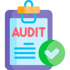 lean auditing